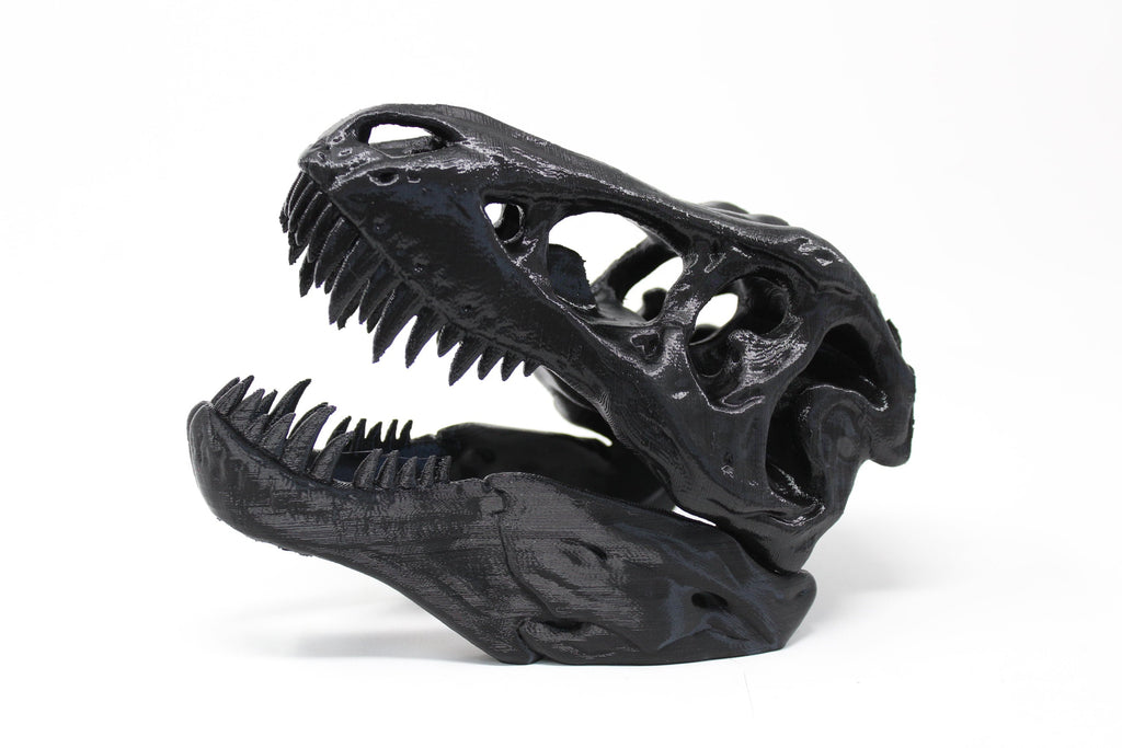 T-Rex Skull - Angled.io