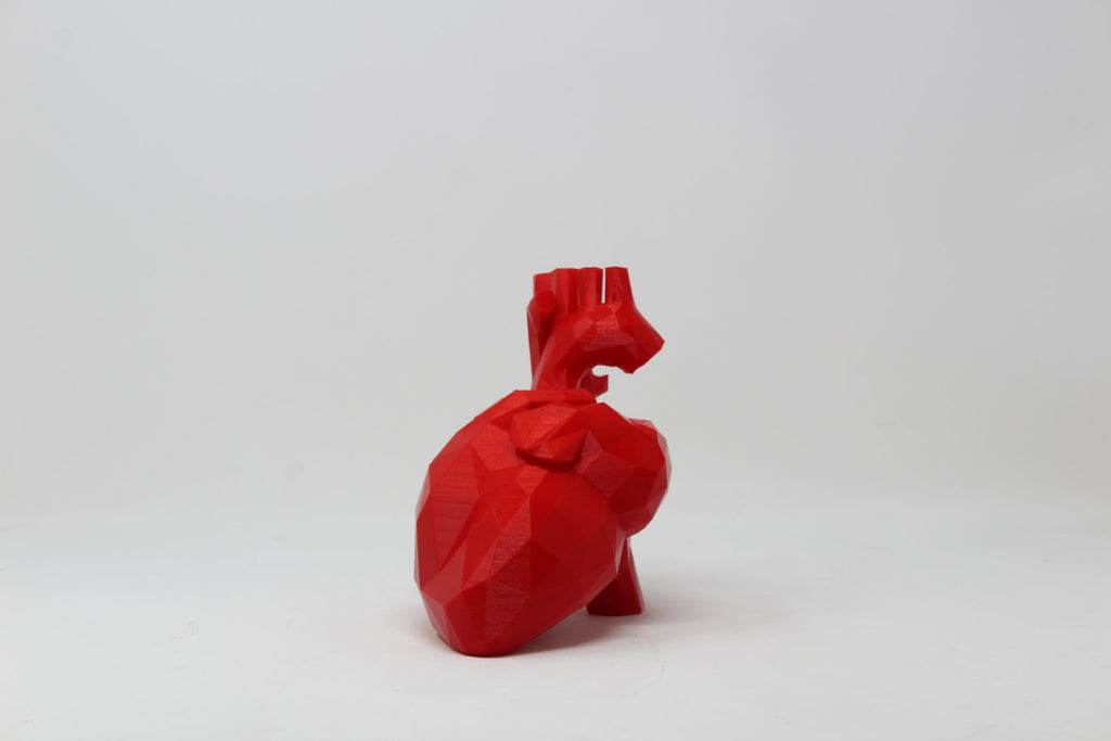 Anatomical Heart Sculpture - Angled.io