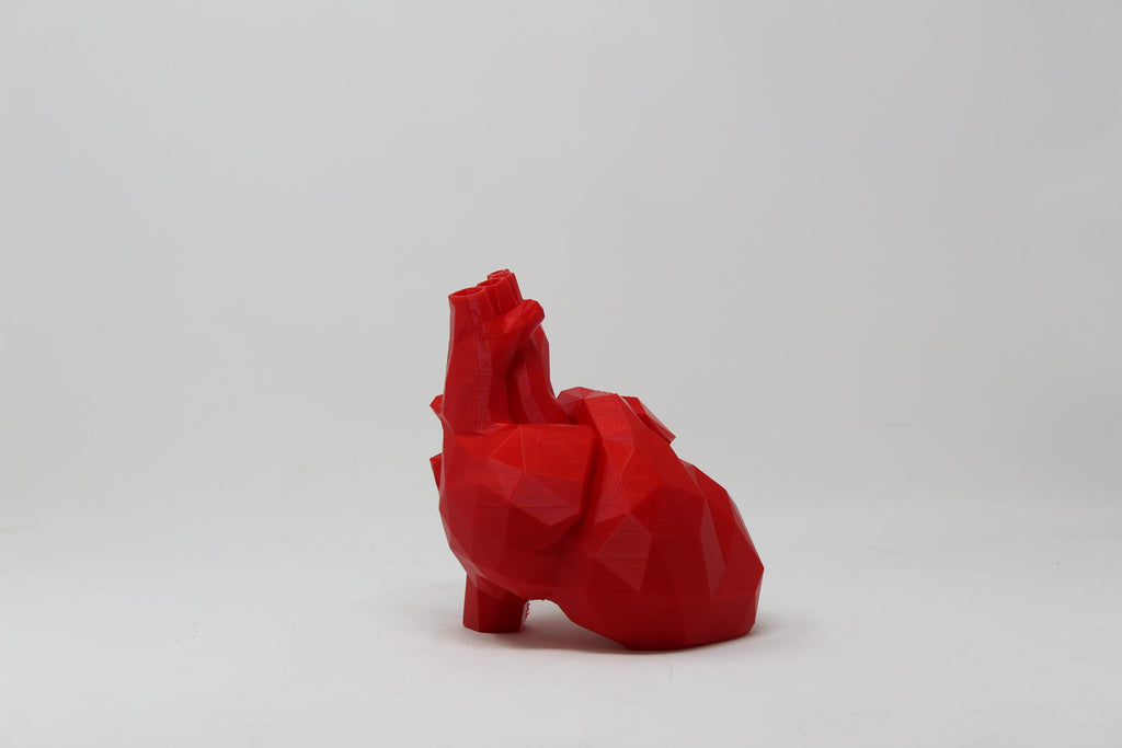Anatomical Heart Sculpture - Angled.io